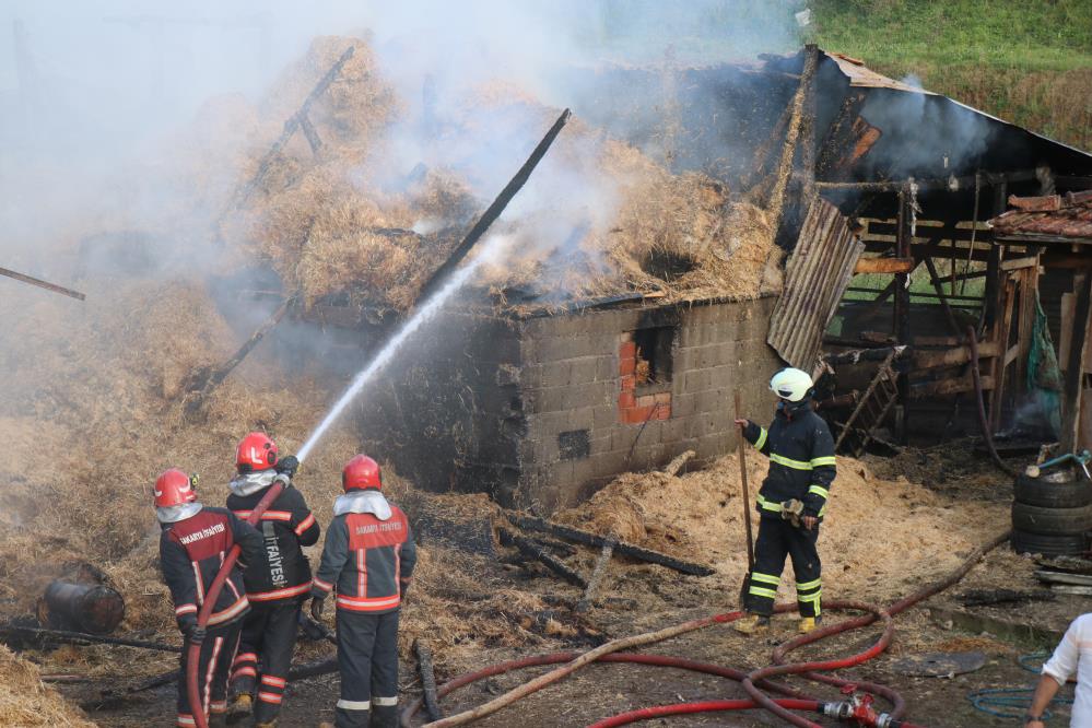 Yangın Besi Çiftliğini kül etti: 25 büyükbaş telef oldu