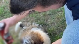 Köpeğe alkol içirdi, sosyal medya hesabından paylaştı