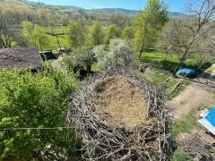 Kocaeli Büyükşehir’den iç ısıtan davranış; görenler takdir etti