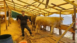 Kurbanlıklar görücüye çıkıyor