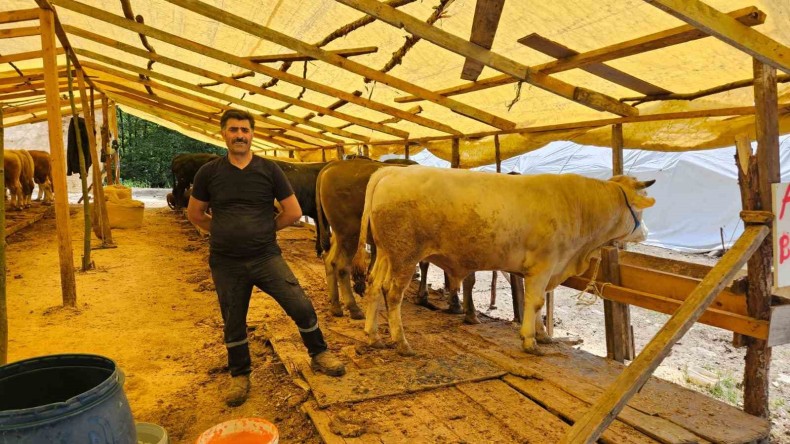 Kurbanlıklar görücüye çıkıyor