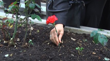 En hüzünlü Anneler Günü orada yaşanıyor