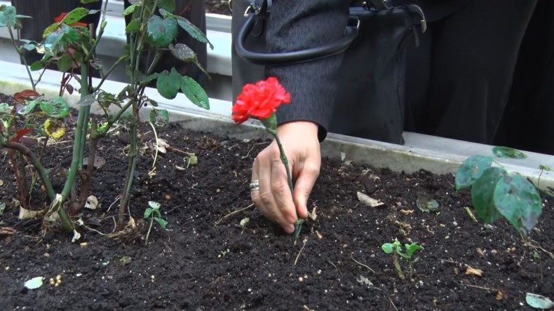 En hüzünlü Anneler Günü orada yaşanıyor
