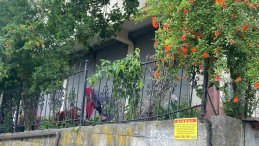 Dut toplamak için çıktığı ağaçtan düştü, demir korkuluklara saplandı