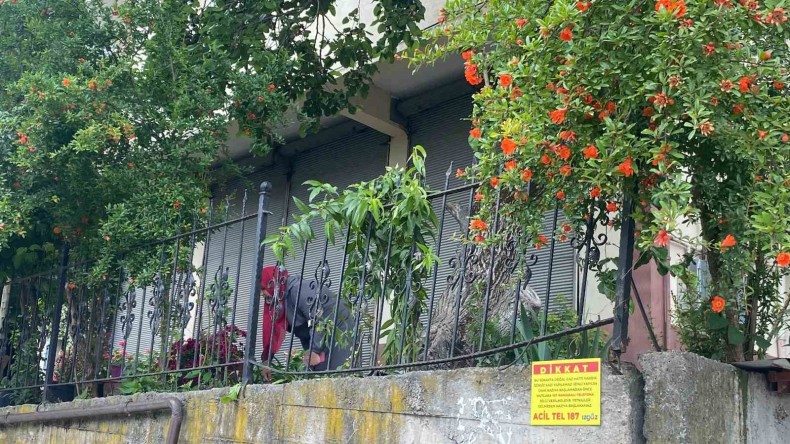 Dut toplamak için çıktığı ağaçtan düştü, demir korkuluklara saplandı