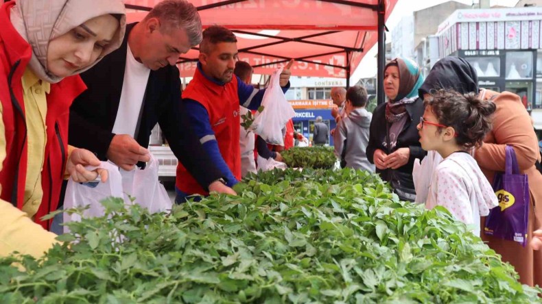 İzmit Belediyesi’nden tarımsal kalkınmaya fide desteği