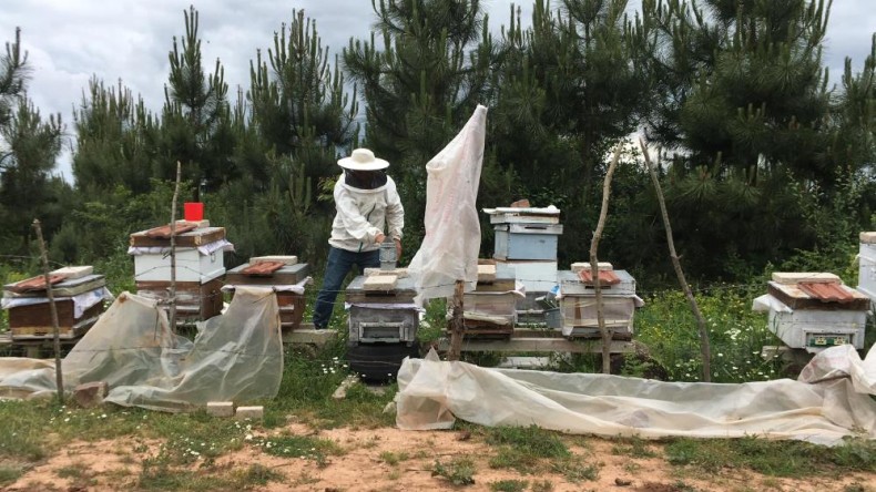 Bu yapılır mı? 100 Bin TL. zararı var, jandarmaya şikayetçi oldu