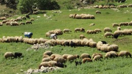 Havalar ısındı, zorlu yolculuk başladı