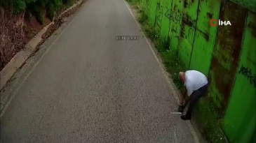 UlaşımPark şoförü kaplumbağayı ezilmekten kurtardı