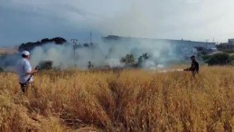 Yulaf tarlasında yangın