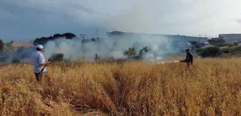 Yulaf tarlasında yangın