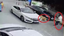 Köpeğe çarptı, arkasına bakmadan yoluna devam etti