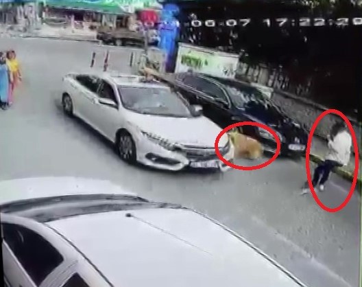 Köpeğe çarptı, arkasına bakmadan yoluna devam etti