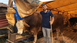 Kurbanlık satışlarında son durum ne?