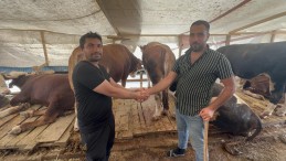 Sıkı kurban pazarlığı: “Kolumu kopardı”