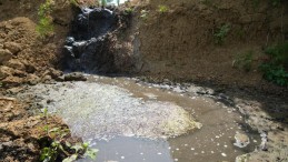 Yetkililer duysun! Doğa harikası dereye gübre akıyor