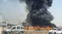 Palet fabrikasında yangın: Çok sayıda itfaiye sevkedildi