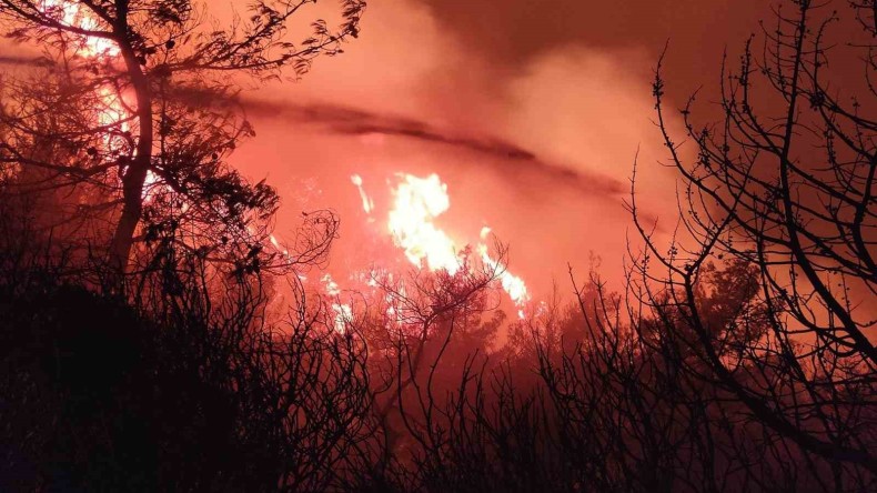 Bu bir felaket, kabus gibi: Yangın…