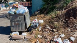 Meclis üyesi paylaştı: İzmit Belediyesi bayramda da çöpleri toplayamadı