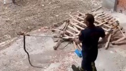 Aşırı sıcaklarda ortay çıktılar: Uzmanından uyarılar