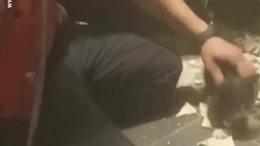 Yavru kedi böyle kurtarıldı