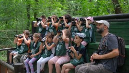 Ormanya’da yaz okulu başlıyor