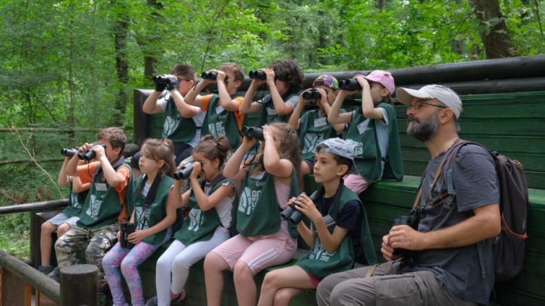 Ormanya’da yaz okulu başlıyor