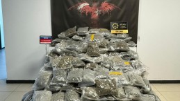 Dev uyuşturucu operasyonu: 116 kilo skunk bakın nereden çıktı