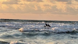 Sahillerde dikkat! 227 kişi boğulmaktan son anda kurtarıldı