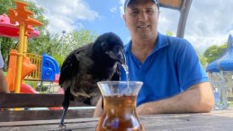 Karga, Rize çayı dışında bir şey içmiyor