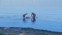 Başiskele’de denizde ceset bulundu