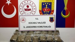 Kocaeli’de 2 araçta 23 kilo bonzai ele geçirildi