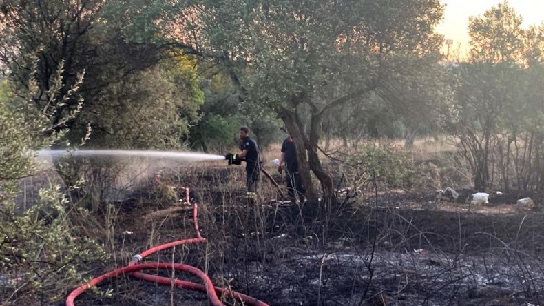 Mangaldan çıkan yangın ağaçlık alanı küle döndürdü
