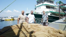 Denizden bereket fışkıracak, Kocaeli o balığa doyacak