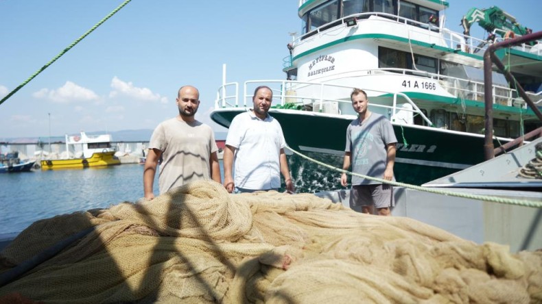 Denizden bereket fışkıracak, Kocaeli o balığa doyacak