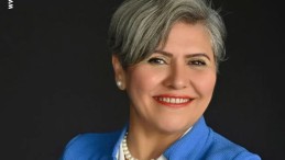 Köpekleri uyutmak için toplatıyor iddiası: Muhtar Şenses gerçeği açıkladı