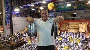 Tezgahlarda palamut bereketi: Fiyatlar oldukça uygun