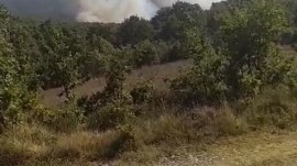 Kocaeli’de orman yangını: Saatlerce mücadele verdiler