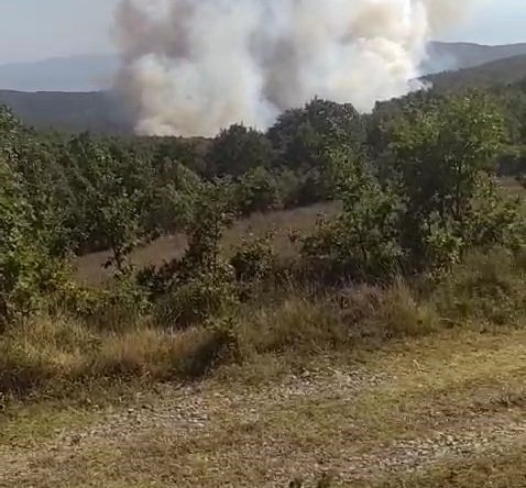 Kocaeli’de orman yangını: Saatlerce mücadele verdiler