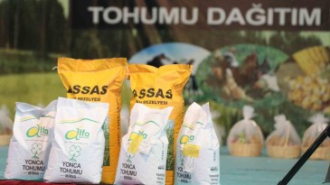 Çiftçiye sonbahar tohum desteği