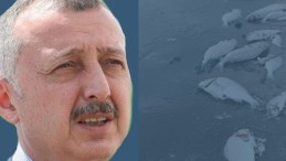 Özgür Özel’e tokat gibi cevap: “Sanırım bizi, denizi foseptik çukuruna çeviren İzmir’le karıştırdı”