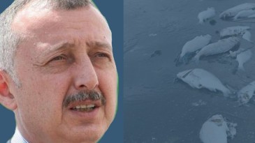 Özgür Özel’e tokat gibi cevap: “Sanırım bizi, denizi foseptik çukuruna çeviren İzmir’le karıştırdı”