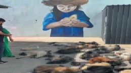 Ölü sokak hayvanları: Büyük tepki sonrası şok açıklama