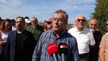 Kocaeli Çevre Platformu ayaklandı: Sokak hayvanlarının katledilmesi…