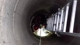 Kuyuya düşen yavru kedi böyle kurtarıldı