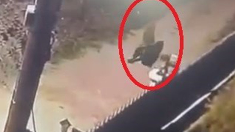 Herkesin korkulu rüyası olmuştu; Vatandaşlar böyle yakaladı