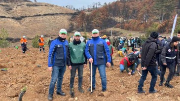 SEDAŞ 500 fidan dikti