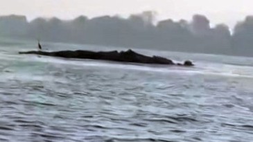 Sapanca Gölü’nde su çekildi, esrarengiz yapı ortaya çıktı