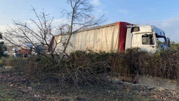 TIR ağaçlık alana uçtu: 2 yaralı