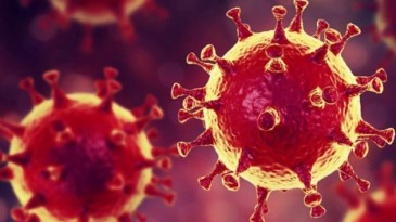 2025 kehanetleri: ‘KOVID-19’dan daha kötü salgın gelecek